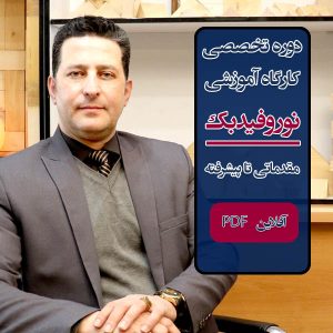 کارگاه تخصصی آموزش مقدماتی تا پیشرفته "نوروفیدبک" آفلاین PDF